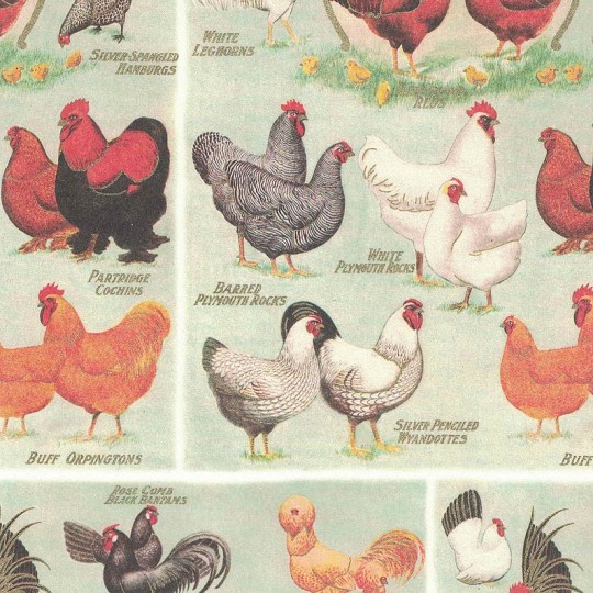 Easter Chicks and Hens Italian Print Paper ~ Rossi Italy